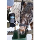 EQUIRESP – légúti komfort támogatás