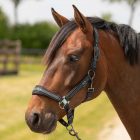 Equestrian Society kötőfék és vezetőszár