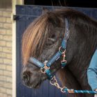 Equestrian Society kötőfék és vezetőszár