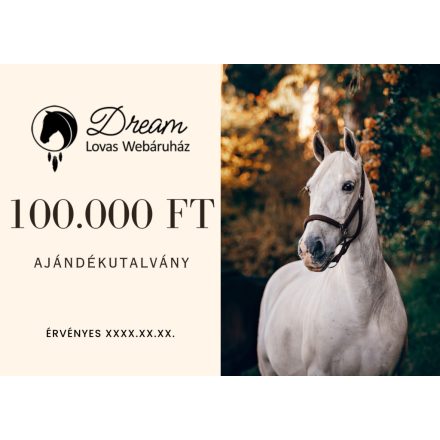 Dream Ajándék utalvány 100.000 Ft 