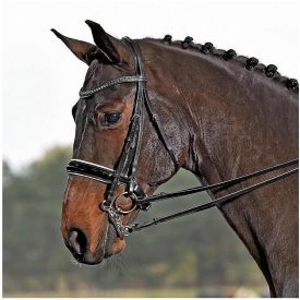 Busse nagykantár COB