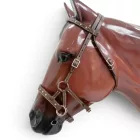 Cayuse Sidepull RanchBling zablanélküli kantár