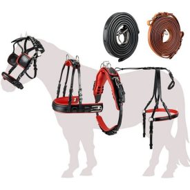   Esposita Egyes fogathám "Professzionális" fekete-piros színben - Mini shetlandi