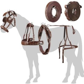 Esposita Egyes fogathám "Anatomic" Barna - Cob