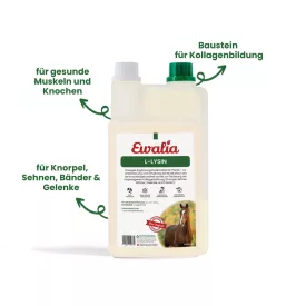 EWALIA L lizin folyadék – az izmok támogatására - 1 L