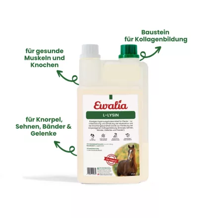 EWALIA L lizin folyadék – az izmok támogatására - 1 L