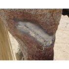 HollandAnimalCare alumínium spray