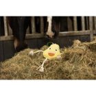 HollandAnimalCare Horse Foodie Friends boxjáték - Körte