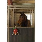 HollandAnimalCare Horse Foodie Friends boxjáték - Málna