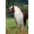 HollandAnimalCare Hi Gloss sörény fény - 5 l