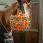 HollandAnimalCare unaloműző széna labda - narancssárga