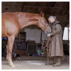 Horslyx Mini Mint - 650 gr