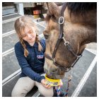 Horslyx Mini Garlic - 650 gr