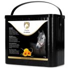 Körömvirág gyógynövény