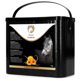 Körömvirág gyógynövény