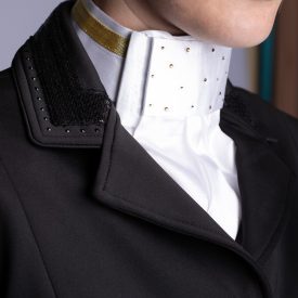 Harry's Horse Precious díjlovas zsabó