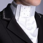 Harry's Horse Precious díjlovas zsabó