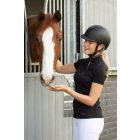 Harry's Horse Matterhorn Matt kobak