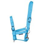 Harry's Horse csikókötőfék