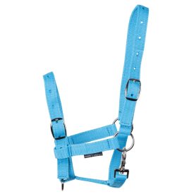 Harry's Horse csikókötőfék