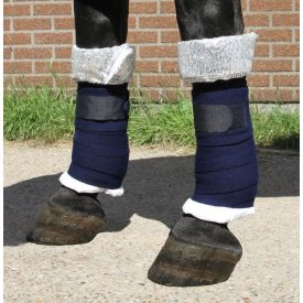 Harry's Horse Champion fáslialátét (2 db-os)