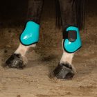 Harry's Horse Next bokavédő