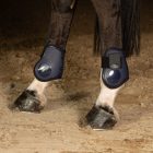 Harry's Horse Next bokavédő