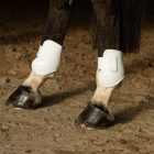 Harry's Horse Next bokavédő