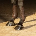 Harry's Horse Percy Air ínvédő