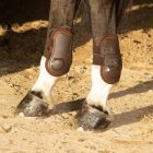 Harry's Horse Percy Air bokavédő