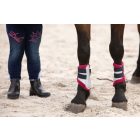 Harry's Horse Diva Stella póni ínvédő