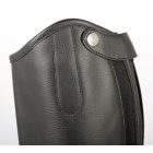 Harry's Horse Unity chaps