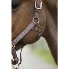 HKM Arctic Bay kötőfék - Póni