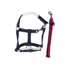 HKM Cuddle Pony Starter szett