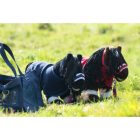 HKM Cuddle Pony Starter szett