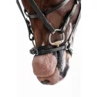 HKM Nicole kantár - Cob