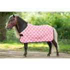 Cooler -Henni- shetlandi pónik számára