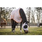 Légytakaró – Splash