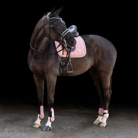 HV Polo HVPClassic lábvédő szett - fehér, Nagyló