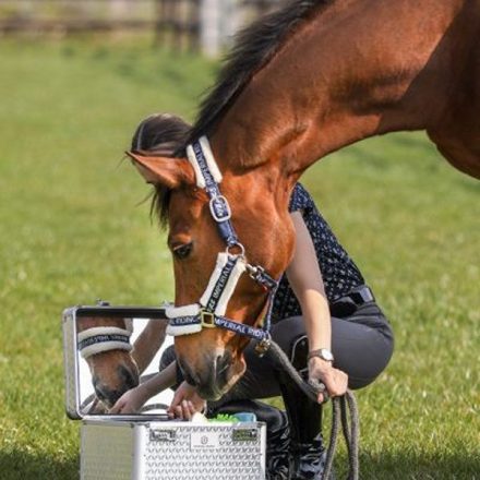 Imperial Riding IRHShiny ápolószeres doboz - sötétkék