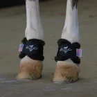 Professional's Choice | Pastern Wrap Faux Fleece | Fekete