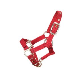 Westernwelt Hamilton póni és csikó kötőfék