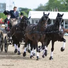 Zilco Classic Pony négyes fogathám szett (Fekete)