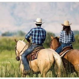 WESTERN